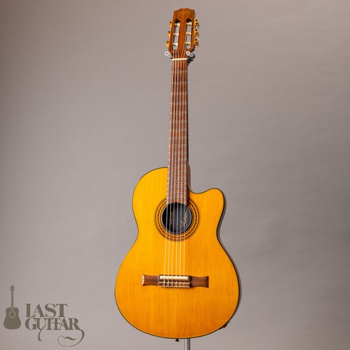 Gibson chet atkins 93 - chet, ce