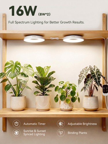 16w smart full - 16w, spectrum