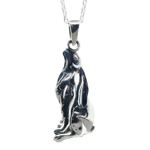 Collier lièvre regardant - , la