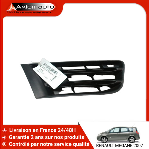 Grille calandre - 🇫🇷,