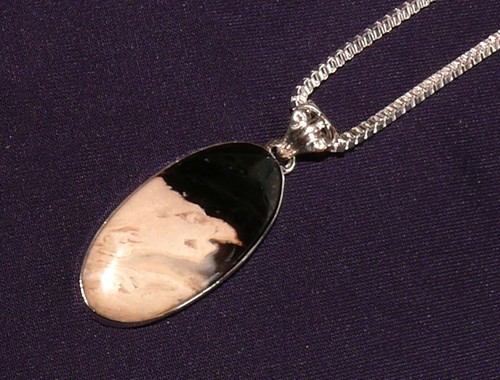 Pendentif palme fossile - pendentif,