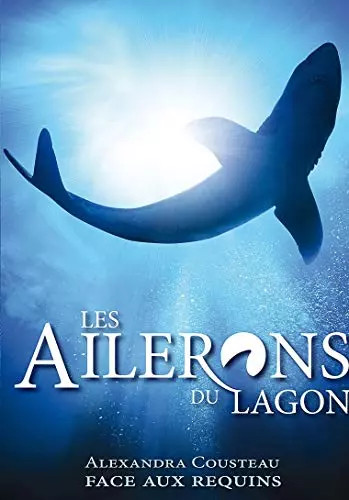 Les ailerons lagon - ailerons, du