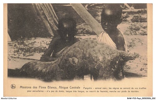 Bawp10 0905 congo - bawp10-0905-congo, missions