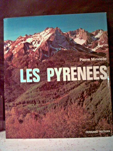 Minvielle les pyrénées - minvielle.,
