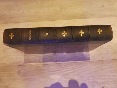 Livre romans petit echo - livre,