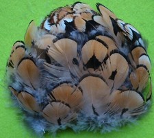 lot de 50 belles plumes de