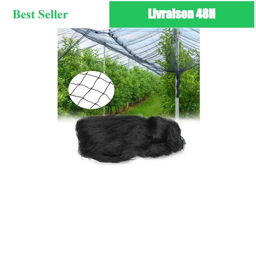 Filet protection oiseaux - protection,