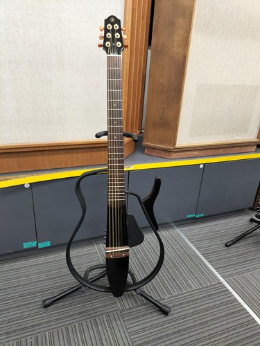 Guitare électrique acoustique