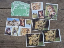 Lot D'ancienne Carte Esso Le Monde Fabuleux Des Animaux