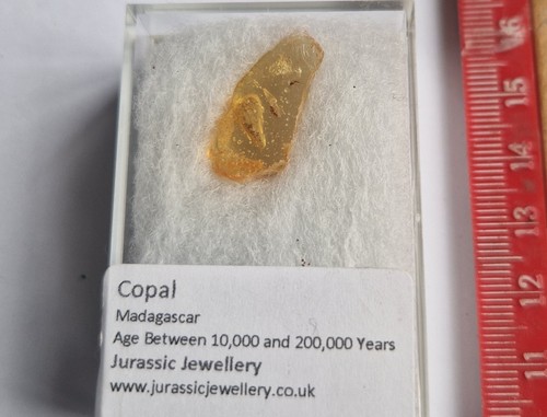 Boîte copal malgache avec - de,