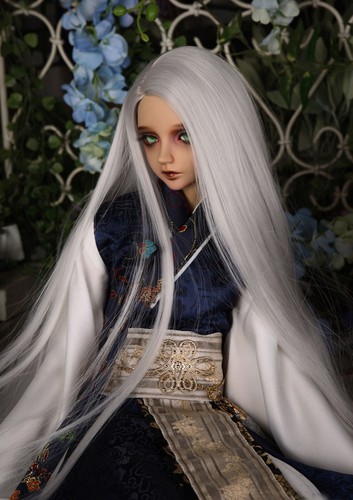 Bjd silver cool - 8-9,