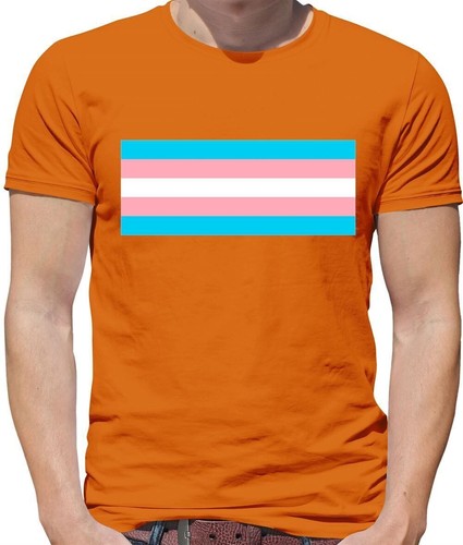 Drapeaux lgbt transgenre - transgenre,
