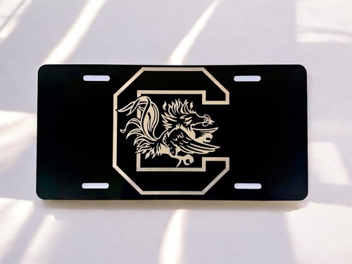 University south carolina - south,