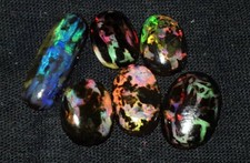 15.85CRT INDONESIAN OPALE 6PCS opale bois fossile creation de bijoux cabochon 