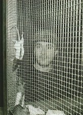 Damien Hirst Installation Edinburg 1994