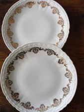 2 Assiettes en porcelaine de Couleuvre – décor doré