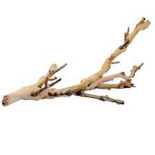 Exo Terra Forest Branch Small