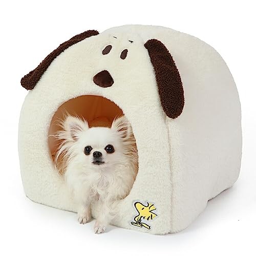Pet paradise snoopy dog - pet,