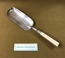 pelle ramasse miettes en