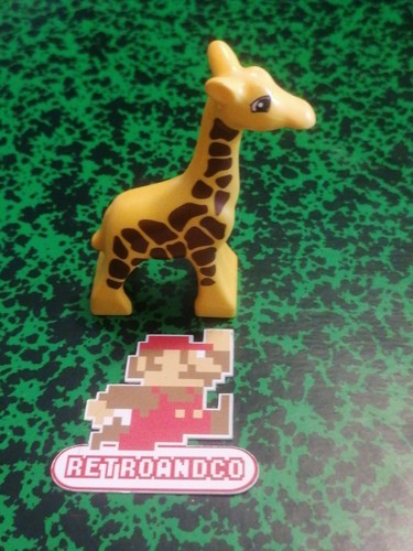 Lego duplo zoo cirque - ,