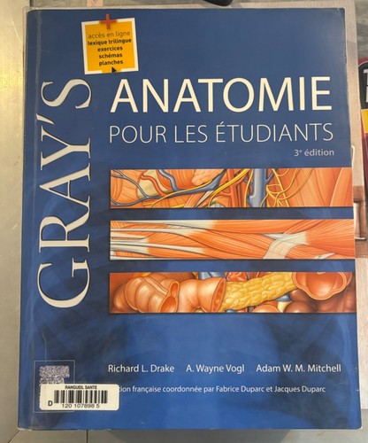 Gray anatomie pour - pour, les