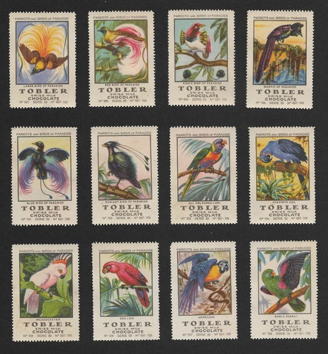 Poster stamps parrots birds - stamps,