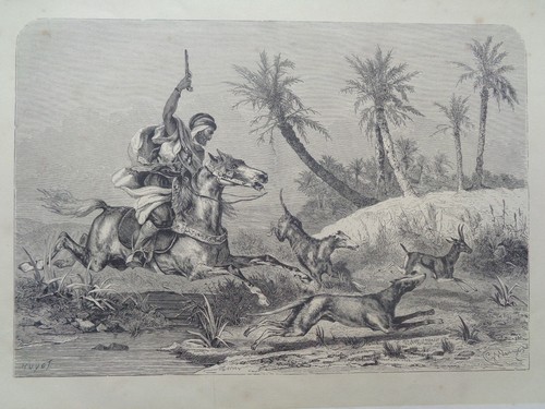 Grande gravure ancienne sur - ancienne,