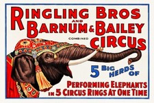 CIRQUE RINGLING BROS BARNUM