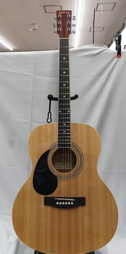 Guitare acoustique honey bee - honey,