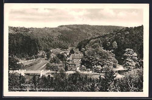 Carte postale pforzheim - postale, porte