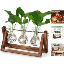 Stylish Indoor Plant Terrarium