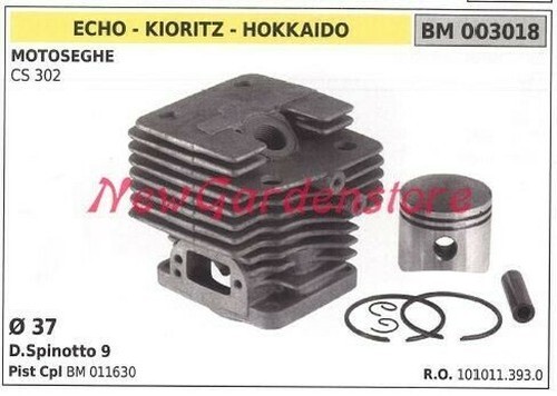 Cylindre piston segments echo - piston,