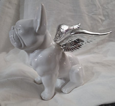 White French Bulldog With