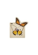 Puzzle cycle de vie -papillon