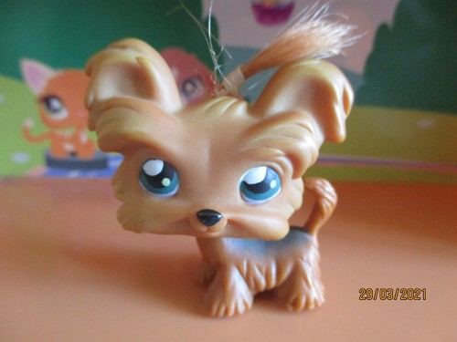 Petshop chien yorkshire - chien, #06