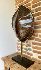 Années 50 60 Vintage Carapace