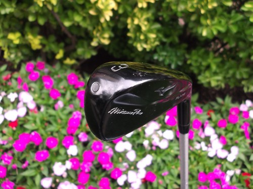 Mizuno pro fli - mizuno,