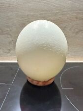 Ancien Oeuf d'autruche Cabinet