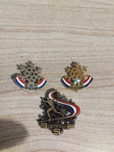 Lot insignes broches esf ski - 3,