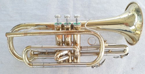 Blessing model cornet with - xl,