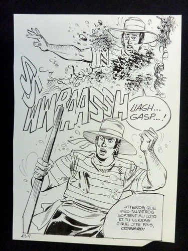 Grossi planche - (elvifrance),