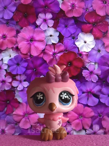 Petshop lps hasbro hibou - lps,