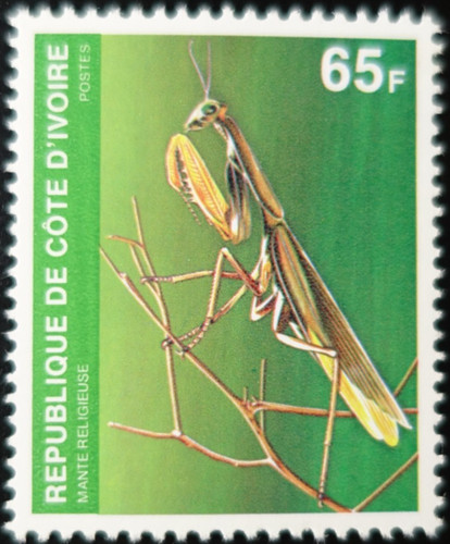 Timbre côte ivoire - timbre,
