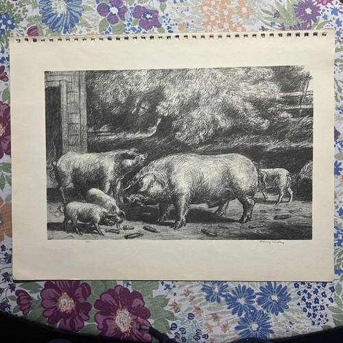 Print harry wickey hogs - print, “hogs
