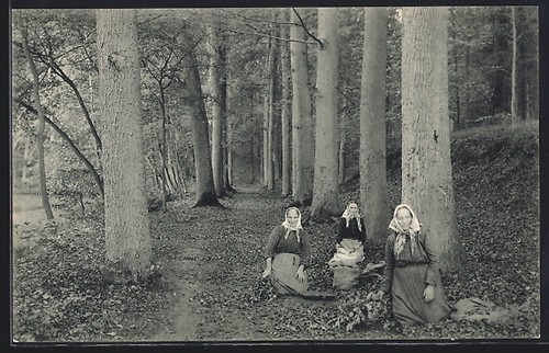 Cpa tervueren parc - tervueren,, de