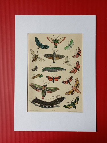Chromolithographie originale - chromolithographie,