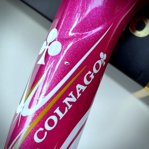 Reggiselle carbon colnago 6 - reggiselle,