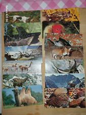 25 Cartes Merveilles du monde