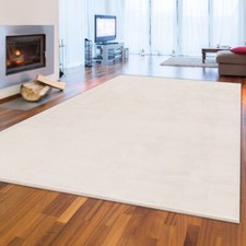 Grand Tapis pour Salon |