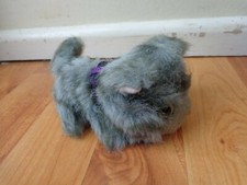 Véritable The CAT ARTLIST COLLECTION - Norvégienne Forêt Chat Peluche